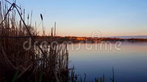 清晨清晨远处的房子和平静的湖泊在夏季前景宁静湖滨自然与建筑视频的预览图