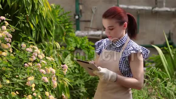 农艺师妇女拿着药片对正在生长的作物进行检查并放置指标视频的预览图