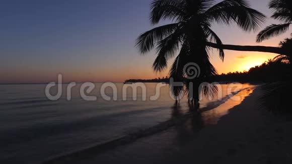 美丽的日出在海面上在加勒比海的白色海滩上看棕榈视频的预览图