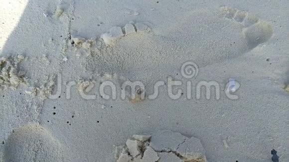 寄居蟹在沙滩上奔跑视频的预览图