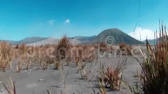 FPV在印度尼西亚东爪哇美丽的布罗莫山附近的火山灰沙漠中行走视频的预览图