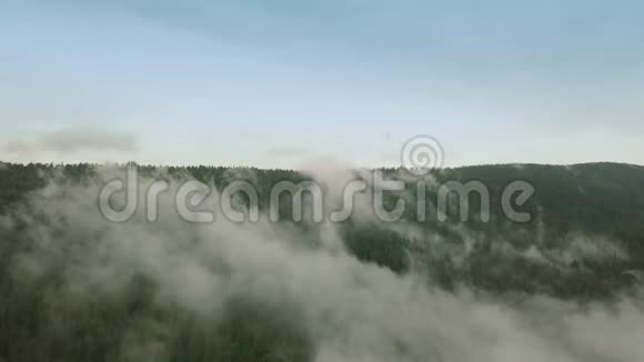 神秘而多雾的无人机在山上的雨林上空飞行在雾中飞行视频的预览图