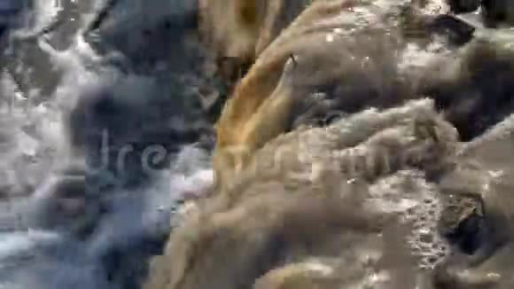 脏的废水流入河中溪水污浊浑水特写环境污染4K25fps视频的预览图