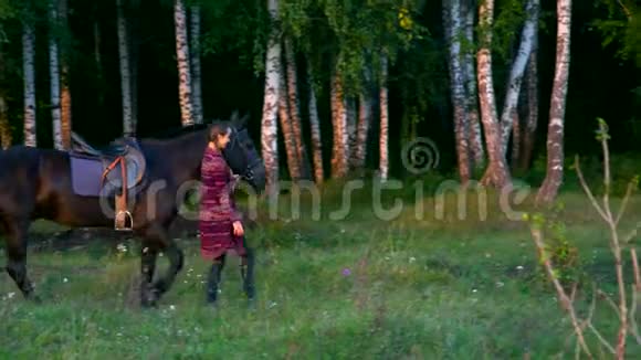 侧视妇女牵马在桦树下视频的预览图
