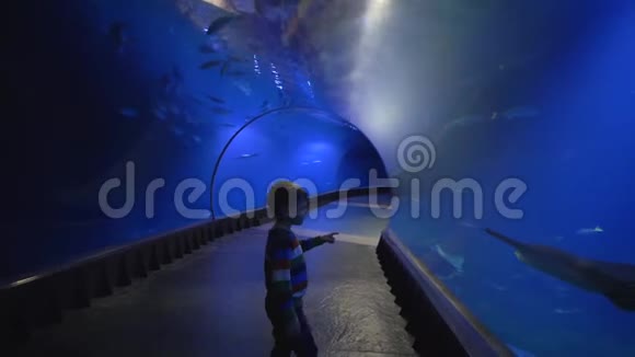 好奇的游客儿童在水族馆隧道散步探索海洋及其居民的美丽视频的预览图