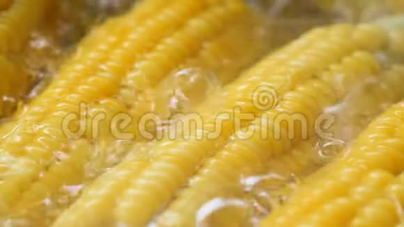 慢动作特写拍摄玉米在火锅沸腾高维生素果蔬视频的预览图