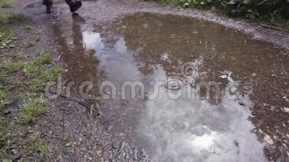 徒步旅行者双腿穿着黑色运动鞋用透明的水在水坑里行走产生水溅库存数据视频的预览图