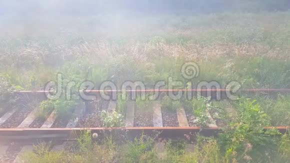 废弃的铁路雾气中长满了锈迹斑斑的铁轨视频的预览图