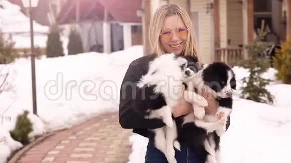 黑白边境牧羊犬与主人女孩拥抱在一起呆在家里春天亲吻拥抱宠物视频的预览图