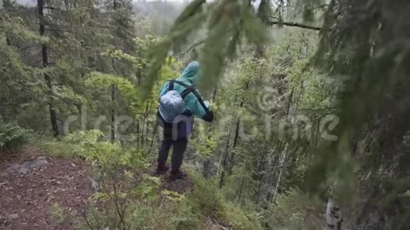 在雨下的森林山的边缘看森林风景的孤独游客的后景库存录像男子视频的预览图