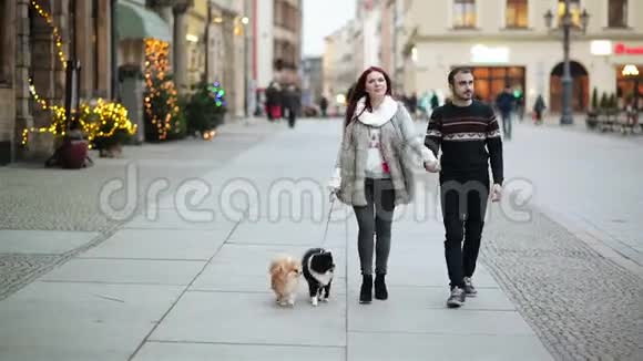 幸福的夫妻牵着手一起走可爱的狗与他们高清户外圣诞快乐视频的预览图
