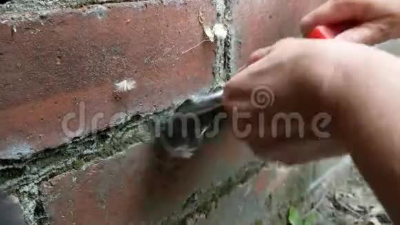 女用钢丝刷清理砖墙双手特写视频的预览图