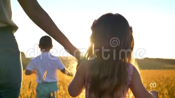 夏天妈妈带着孩子在田野里阳光下散步牵着女儿的手家庭观念视频的预览图