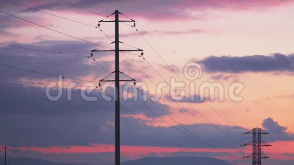 日落时高压支撑鸟儿飞翔坐在上面视频的预览图