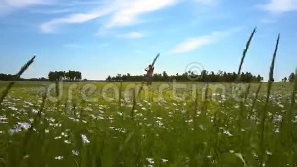 披着长发的女孩在荞麦场奔跑视频的预览图