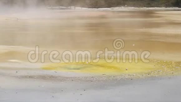 新西兰罗托鲁瓦附近热池中不寻常的黄硫沉积视频的预览图