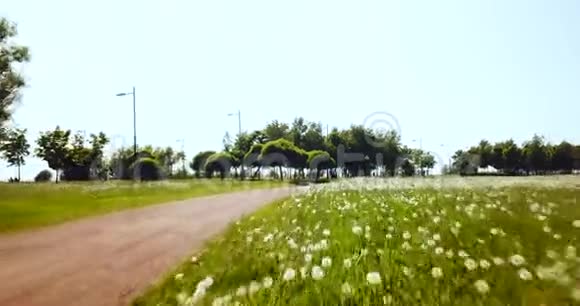 飞越绿色游乐公园几何场和轨道夏日阳光明媚的风景高空钻式脚掌视频的预览图