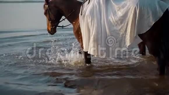 马在水中拍打蹄子形成一种喷雾穿白色连衣裙的女孩骑马视频的预览图