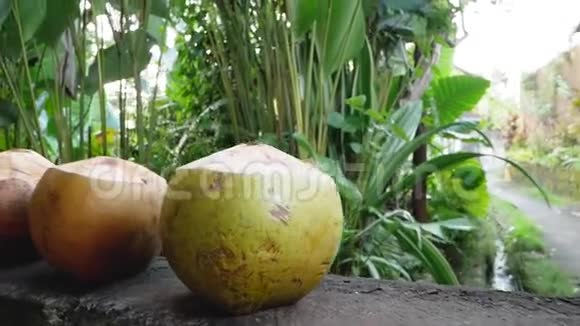 椰子的近景视频的预览图