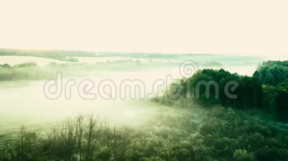 早晨的薄雾池塘鸟瞰视频的预览图