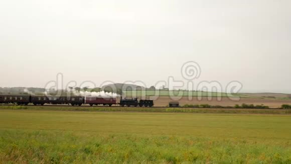 历史上的蒸汽火车在乡下有白色的烟雾视频的预览图