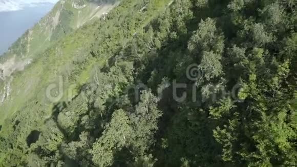 鸟瞰群山带绿林树木带针叶林的山坡视频的预览图