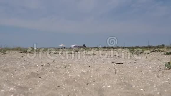 克里米亚沙滩全景沙子大海天空视频的预览图