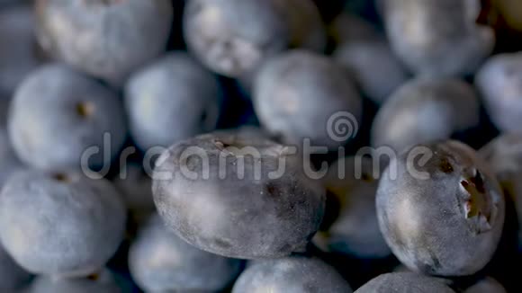 北美蓝莓轮作的特写视频的预览图