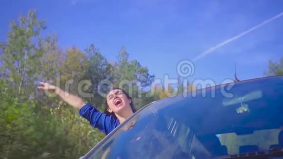 年轻的黑发开朗的女人斜靠在车窗外在森林中缓慢行驶时高兴地大叫视频的预览图