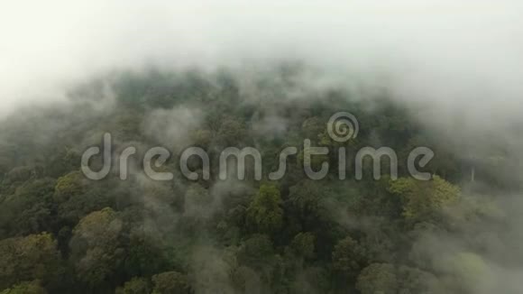 雾中的雨林印度尼西亚贾瓦岛库存车辆视频的预览图