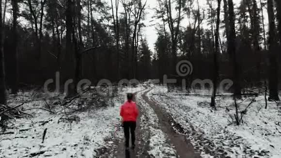 在公园里跑步的女人职业女运动员穿橙色夹克在冬季森林慢跑跑径概念视频的预览图