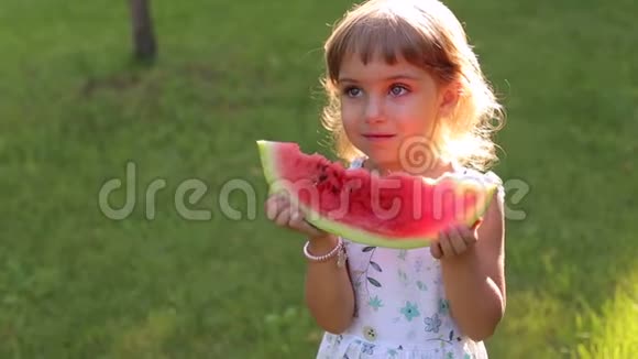 有着不同颜色眼睛的小女孩在草地上的公园里吃西瓜视频的预览图