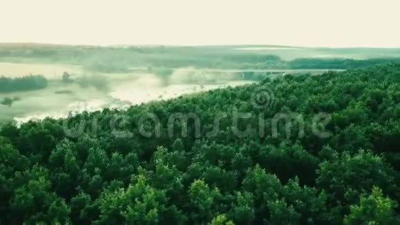 早晨的薄雾池塘空中景色视频的预览图