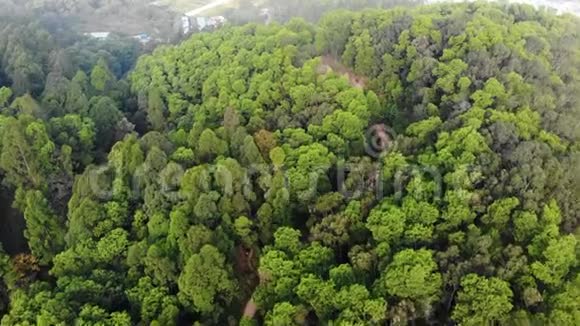 在山上飞过森林的无人机绿树中有一条泥路视频的预览图