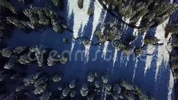 冬季穿过森林的道路的俯视图视频的预览图