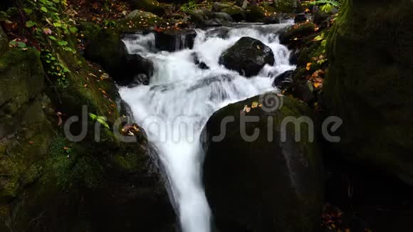 美丽的秋景水流过长满青苔的岩石视频的预览图