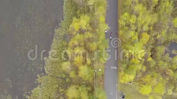 秋季森林中人们训练的空中镜头视频的预览图