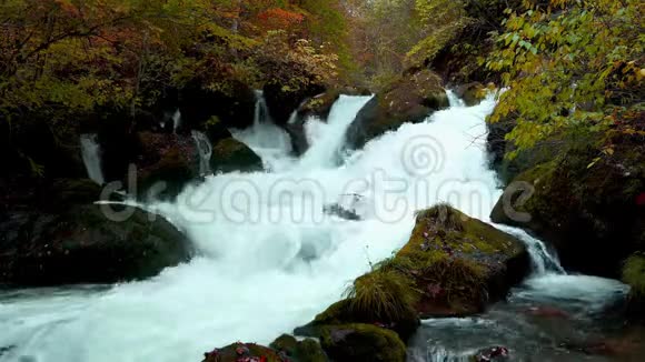 美丽的秋景在奥拉西峡的奥拉西河瀑布视频的预览图