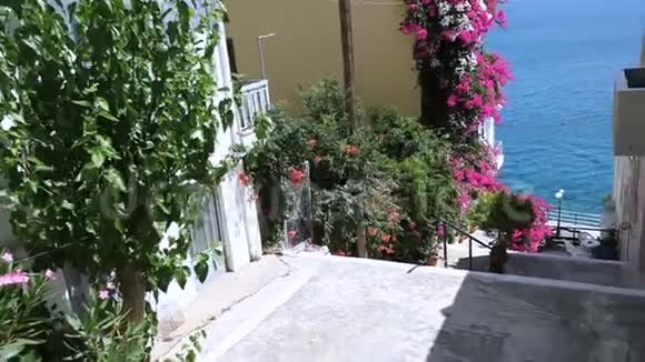 典型的古希腊街狭窄的街道有大气的花墙地中海色彩和阳光明媚的早晨视频的预览图