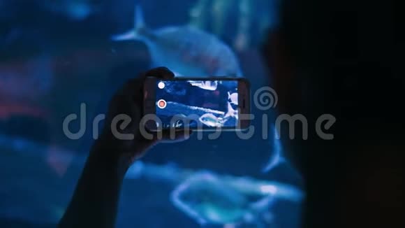 游客制作视频鱼漂浮在水族馆的智能手机上视频的预览图