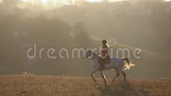 骑师骑着纯种的白种马慢动作视频的预览图