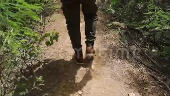 徒步旅行的人带着徒步旅行的靴子在天然森林中漫步视频的预览图
