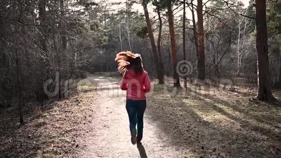 日落时在秋日公园中奔跑的腿的特写镜头人们在森林里横穿乡村慢跑动机视频的预览图
