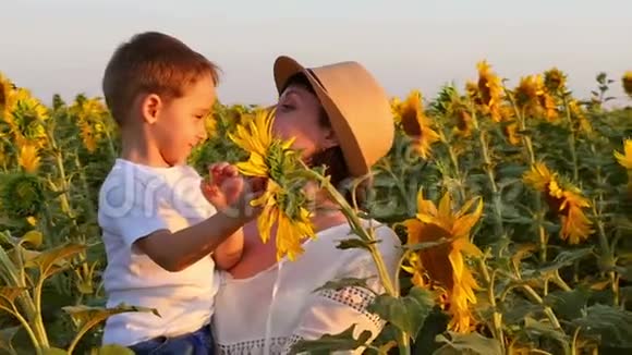 快乐的母亲和儿子在夕阳下的田野里玩向日葵视频的预览图