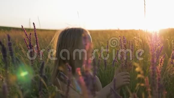 花田里的小女孩孩子躲在田野的花朵后面视频的预览图