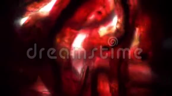 显微镜下红色透明蠕虫的生物学背景视频的预览图