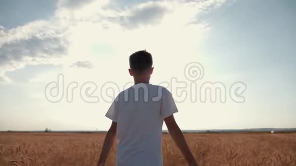 一个穿着白色T恤的男孩正沿着金色的麦田走着视频的预览图