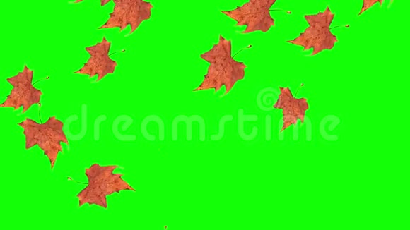 绿色背景上的落叶视频的预览图