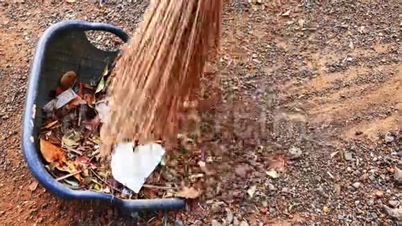 用椰子叶柄做成的扫帚扫院子里干叶和垃圾视频的预览图