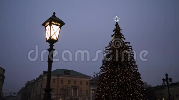 美丽圣诞树背景上的路灯视频的预览图
